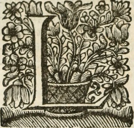 An illustration from L'usage des globes celestes et terrestres, et des spheres, suivant les differens systemes du monde; précedé d'un Traité de cosmographie, 1700, leaf 159