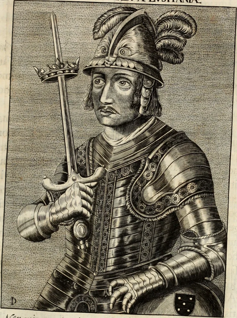 An illustration from Lusitania liberata ab injusto Castellanorum dominio : restituta legitimo principi serenissimo Joanni IV, 1645, leaf 176