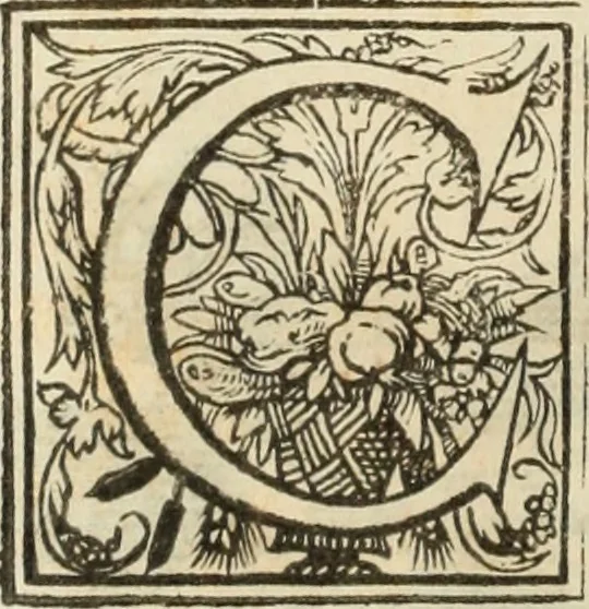 An illustration from Lusitania liberata ab injusto Castellanorum dominio : restituta legitimo principi serenissimo Joanni IV, 1645, leaf 197