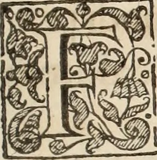 An illustration from Lusitania liberata ab injusto Castellanorum dominio : restituta legitimo principi serenissimo Joanni IV, 1645, leaf 20