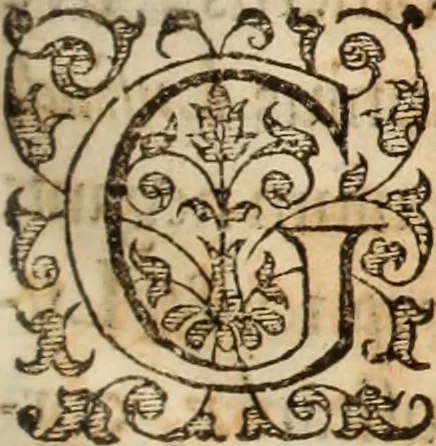 An illustration from Lusitania liberata ab injusto Castellanorum dominio : restituta legitimo principi serenissimo Joanni IV, 1645, leaf 34