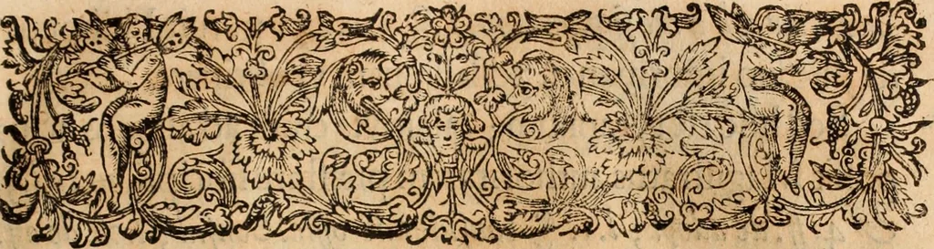 An illustration from Lusitania liberata ab injusto Castellanorum dominio : restituta legitimo principi serenissimo Joanni IV, 1645, leaf 502