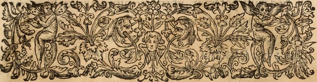 An illustration from Lusitania liberata ab injusto Castellanorum dominio : restituta legitimo principi serenissimo Joanni IV, 1645, leaf 574