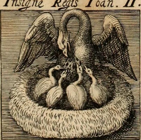 An illustration from Lusitania liberata ab injusto Castellanorum dominio : restituta legitimo principi serenissimo Joanni IV, 1645, leaf 6