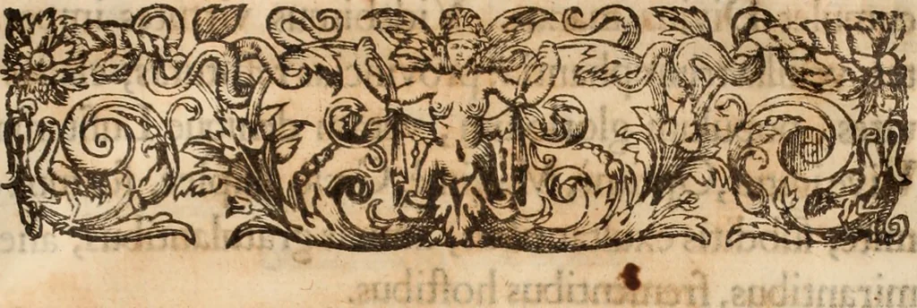 An illustration from Lusitania liberata ab injusto Castellanorum dominio : restituta legitimo principi serenissimo Joanni IV, 1645, leaf 828