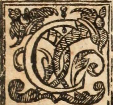 An illustration from Lusitania liberata ab injusto Castellanorum dominio : restituta legitimo principi serenissimo Joanni IV, 1645, leaf 830