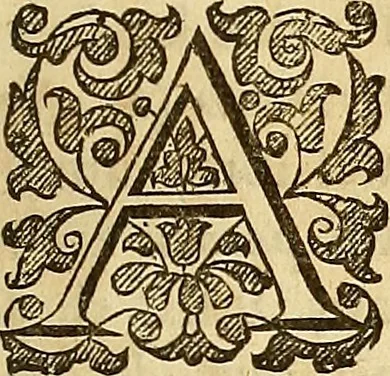 An illustration from Lustra ludovici, : or the Life of the late Victorious King of France, Levvis the XIII. (And of his Cardinall de Richelieu.) Divided into seven lustres. Consilium Armorum Cardo., 1646, leaf 154