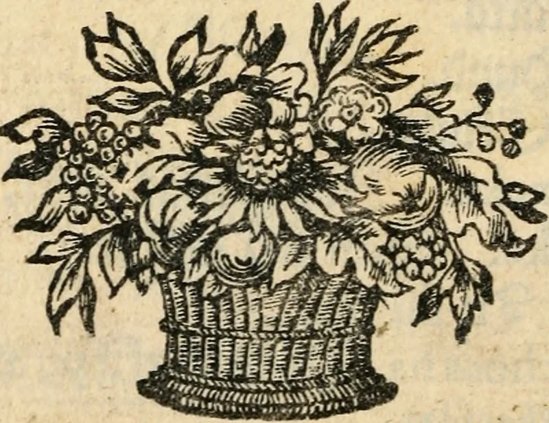 An illustration from Lutheri Catechismus : ofwersatt på American-Virginiske språket, 1696, leaf 183