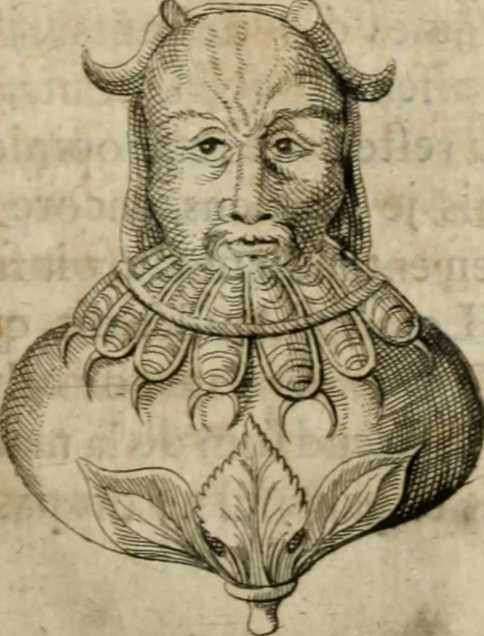 An illustration from L'utilité des voyages : qui concernent la connoissance des médailles, inscriptions, statues, dieux lares, peintures anciennes, et les bas reliefs, pierres precieuses et gravées, cachets, talismans, anneaux, manuscrits, langues, & autres choses remarquables, et l'avantage que la recherche de toutes ces antiquitez procure aux sçavans, avec un memoire de quelques observations generales qu'on peut faire pour ne pas voyager inutilement, 1693, leaf 184