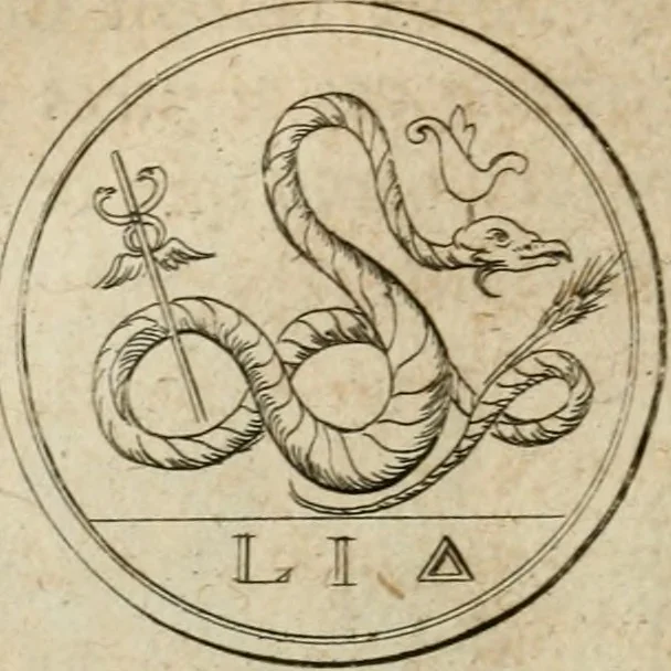 An illustration from L'utilité des voyages : qui concernent la connoissance des médailles, inscriptions, statues, dieux lares, peintures anciennes, et les bas reliefs, pierres precieuses et gravées, cachets, talismans, anneaux, manuscrits, langues, & autres choses remarquables, et l'avantage que la recherche de toutes ces antiquitez procure aux sçavans, avec un memoire de quelques observations generales qu'on peut faire pour ne pas voyager inutilement, 1693, leaf 219