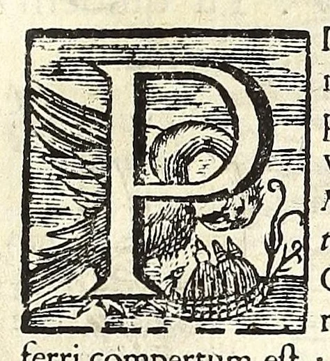 An illustration from Lux evangelica sub velum sacrorum emblematum recondita in anni dominicas : selecta historia & morali doctrina variè adumbrata, 1651, leaf 125