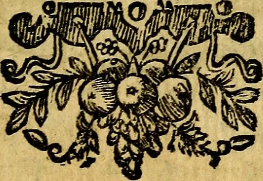 An illustration from Lux evangelica sub velum sacrorum emblematum recondita in anni dominicas, selecta historia & morali doctrina varie adumbrata, 1655, leaf 114
