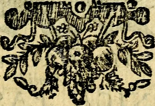 An illustration from Lux evangelica sub velum sacrorum emblematum recondita in anni dominicas, selecta historia & morali doctrina varie adumbrata, 1655, leaf 276