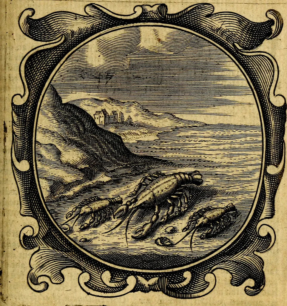 An illustration from Lux evangelica sub velum sacrorum emblematum recondita in anni dominicas, selecta historia & morali doctrina varie adumbrata, 1655, leaf 376