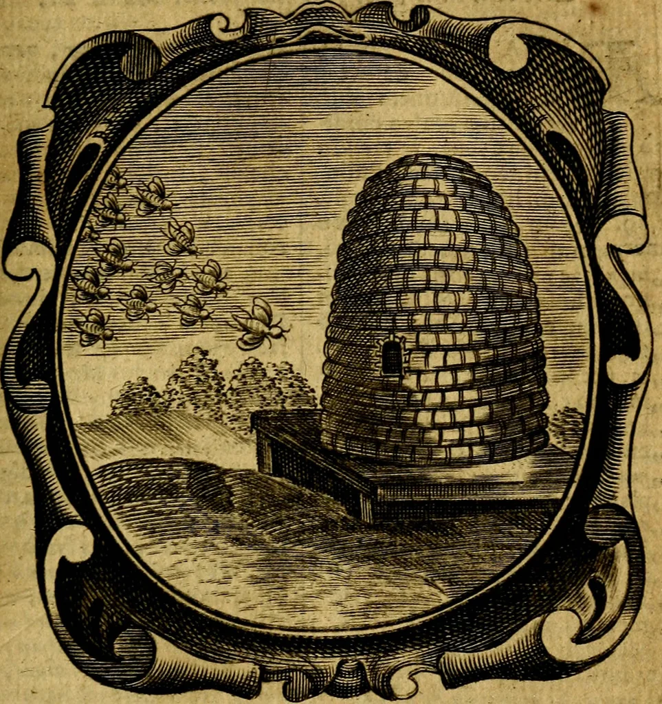 An illustration from Lux evangelica sub velum sacrorum emblematum recondita in anni dominicas, selecta historia & morali doctrina varie adumbrata, 1655, leaf 352