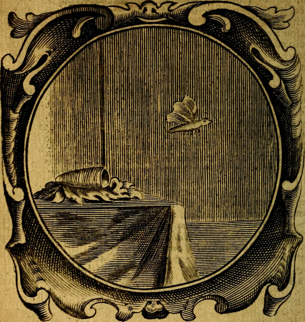An illustration from Lux evangelica sub velum sacrorum emblematum recondita in anni dominicas, selecta historia & morali doctrina varie adumbrata, 1655, leaf 371