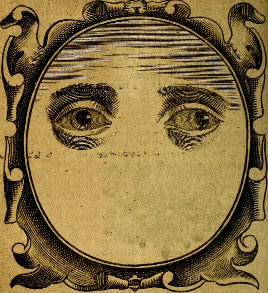 An illustration from Lux evangelica sub velum sacrorum emblematum recondita in anni dominicas, selecta historia & morali doctrina varie adumbrata, 1655, leaf 745