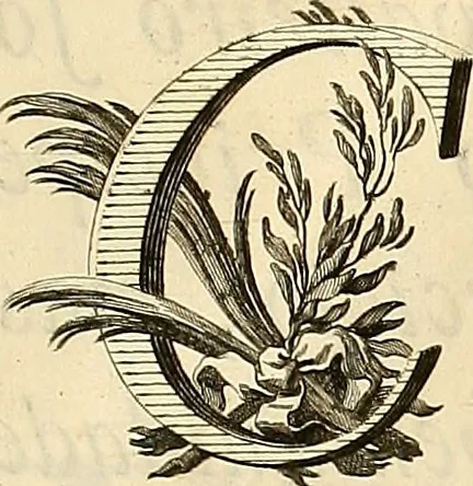 An illustration from Luz da liberal, e nobre arte da cavallaria : offerecida ao Senhor D. João, principe do Brazil, 1790, leaf 10
