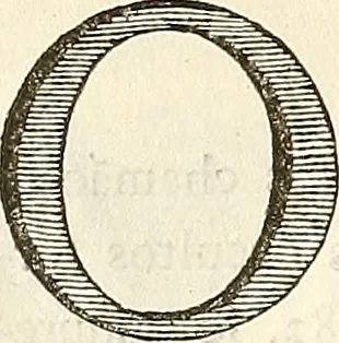 An illustration from Luz da liberal, e nobre arte da cavallaria : offerecida ao Senhor D. João, principe do Brazil, 1790, leaf 153