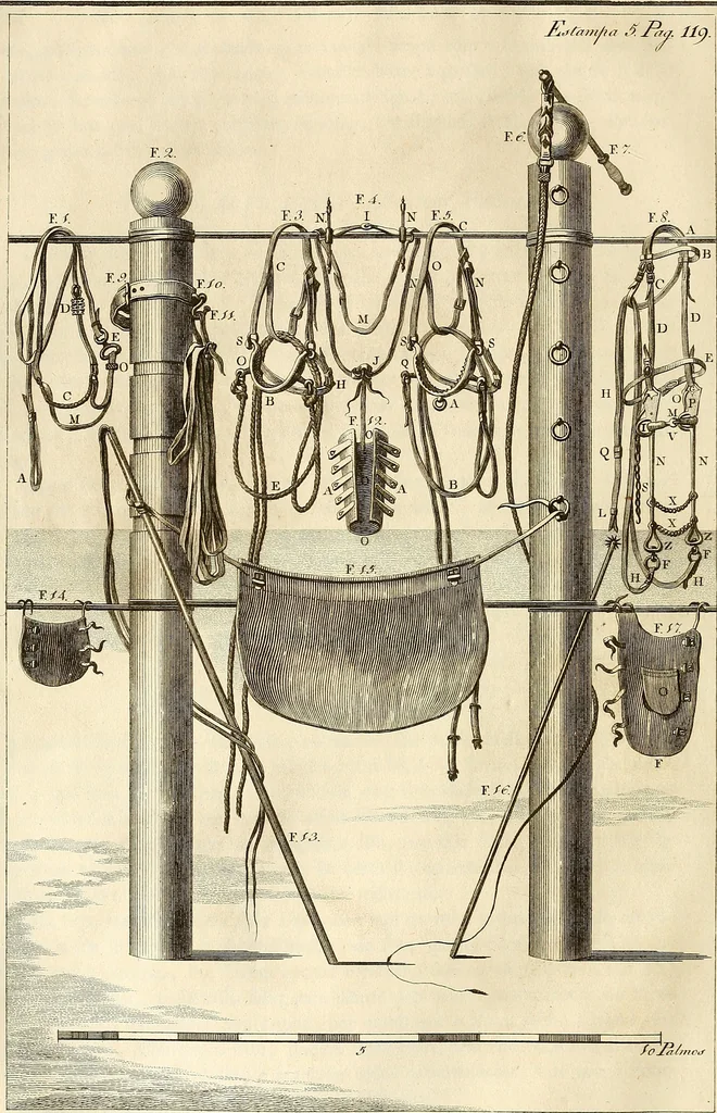 An illustration from Luz da liberal, e nobre arte da cavallaria : offerecida ao Senhor D. João, principe do Brazil, 1790, leaf 161