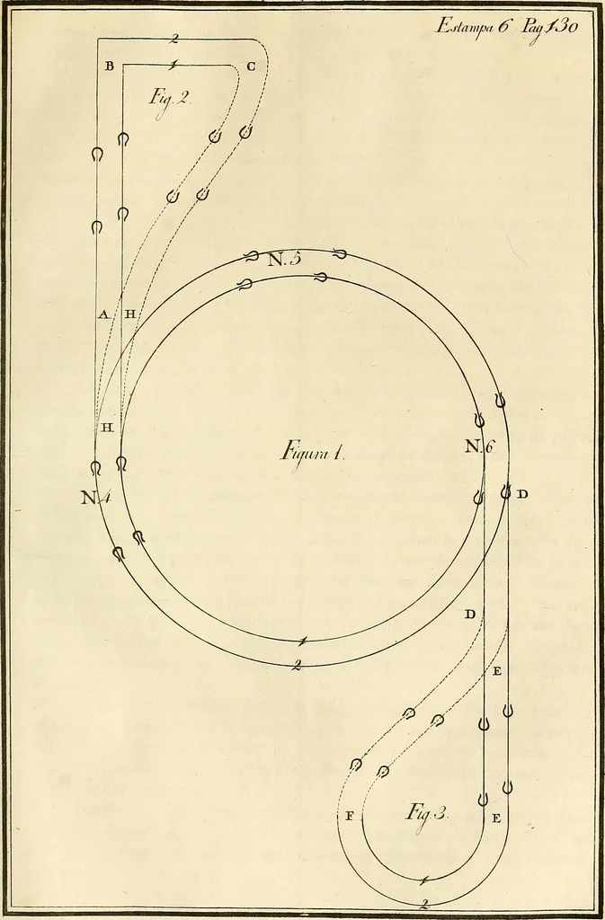 An illustration from Luz da liberal, e nobre arte da cavallaria : offerecida ao Senhor D. João, principe do Brazil, 1790, leaf 174