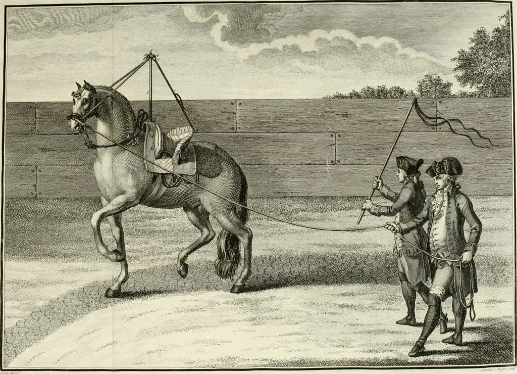 An illustration from Luz da liberal, e nobre arte da cavallaria : offerecida ao Senhor D. João, principe do Brazil, 1790, leaf 179