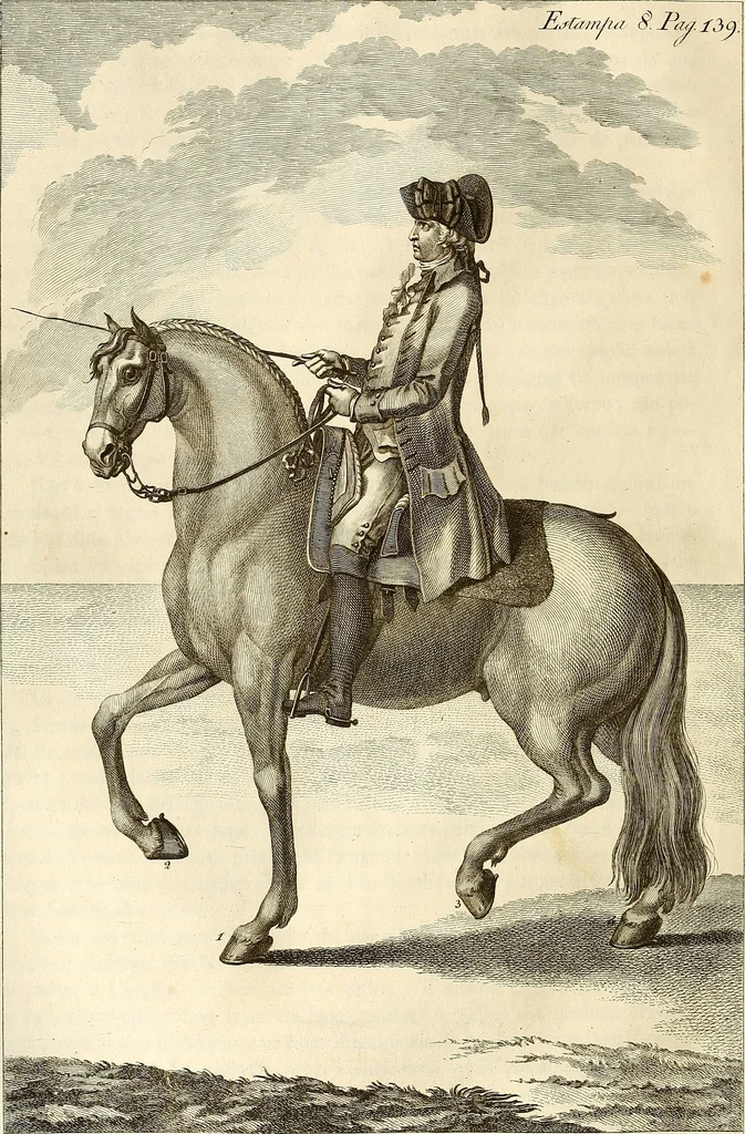 An illustration from Luz da liberal, e nobre arte da cavallaria : offerecida ao Senhor D. João, principe do Brazil, 1790, leaf 187