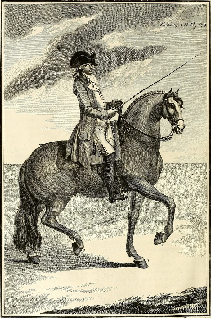 An illustration from Luz da liberal, e nobre arte da cavallaria : offerecida ao Senhor D. João, principe do Brazil, 1790, leaf 233