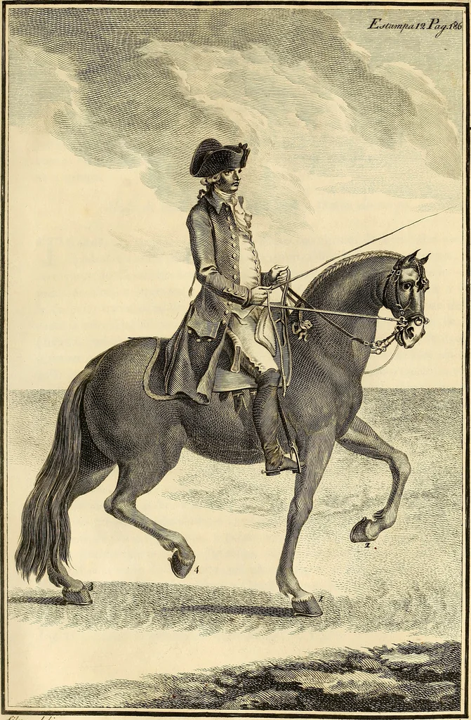 An illustration from Luz da liberal, e nobre arte da cavallaria : offerecida ao Senhor D. João, principe do Brazil, 1790, leaf 242