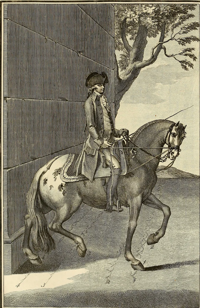 An illustration from Luz da liberal, e nobre arte da cavallaria : offerecida ao Senhor D. João, principe do Brazil, 1790, leaf 250