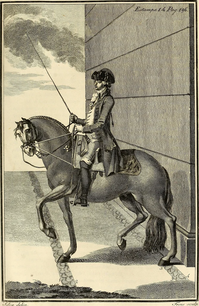 An illustration from Luz da liberal, e nobre arte da cavallaria : offerecida ao Senhor D. João, principe do Brazil, 1790, leaf 256