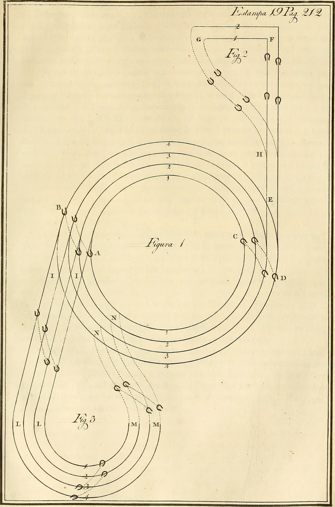 An illustration from Luz da liberal, e nobre arte da cavallaria : offerecida ao Senhor D. João, principe do Brazil, 1790, leaf 282