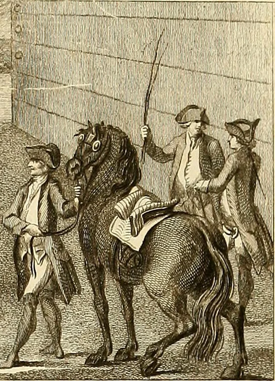 An illustration from Luz da liberal, e nobre arte da cavallaria : offerecida ao Senhor D. João, principe do Brazil, 1790, leaf 288