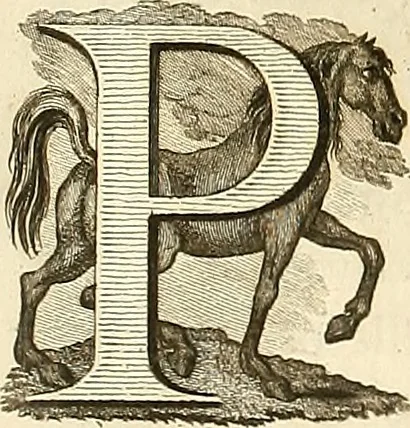 An illustration from Luz da liberal, e nobre arte da cavallaria : offerecida ao Senhor D. João, principe do Brazil, 1790, leaf 288