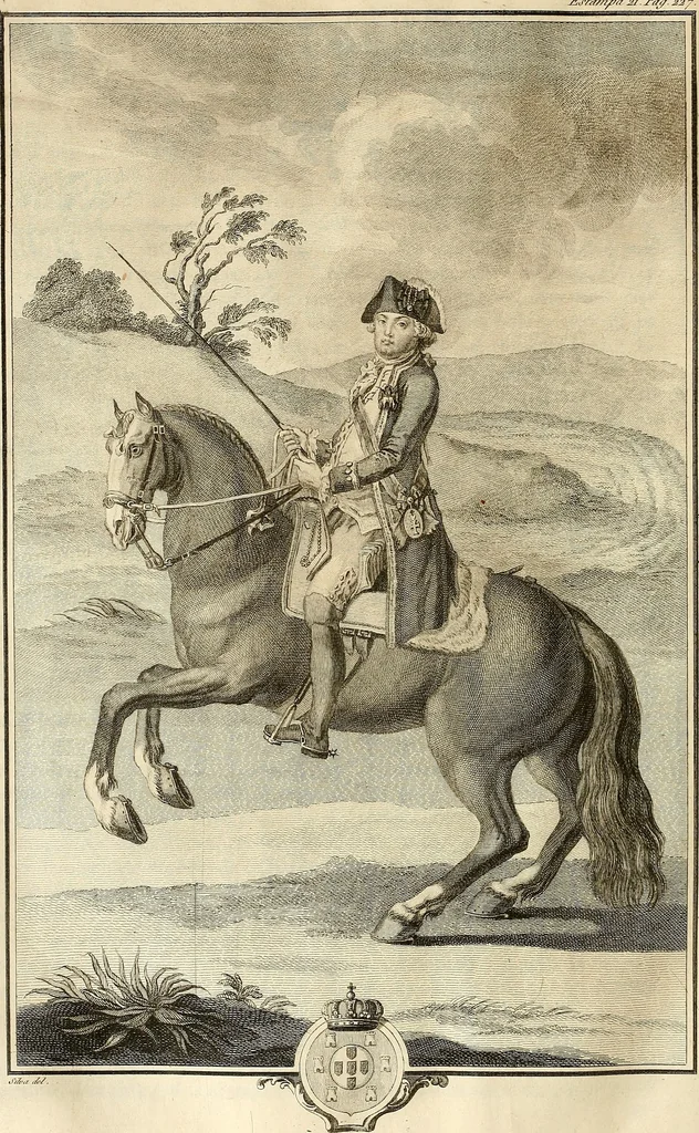 An illustration from Luz da liberal, e nobre arte da cavallaria : offerecida ao Senhor D. João, principe do Brazil, 1790, leaf 301