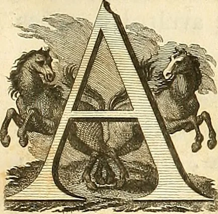 An illustration from Luz da liberal, e nobre arte da cavallaria : offerecida ao Senhor D. João, principe do Brazil, 1790, leaf 34