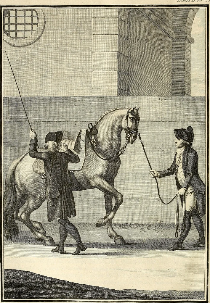 An illustration from Luz da liberal, e nobre arte da cavallaria : offerecida ao Senhor D. João, principe do Brazil, 1790, leaf 341