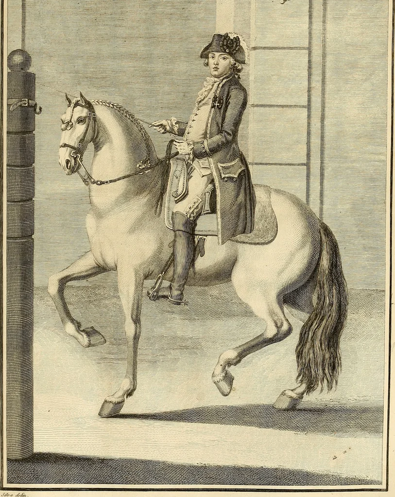 An illustration from Luz da liberal, e nobre arte da cavallaria : offerecida ao Senhor D. João, principe do Brazil, 1790, leaf 352