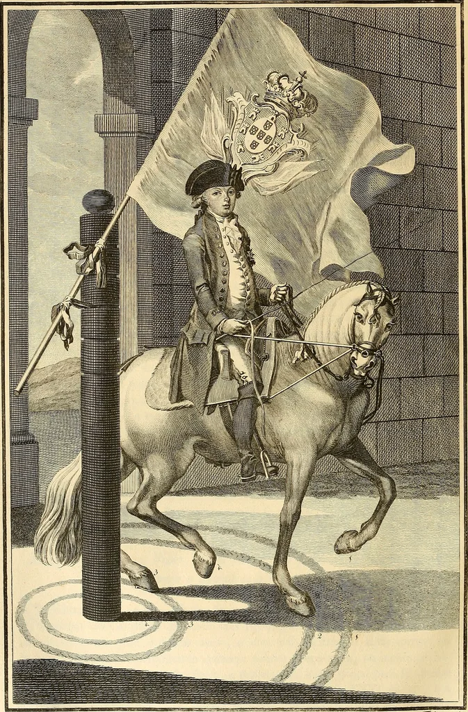 An illustration from Luz da liberal, e nobre arte da cavallaria : offerecida ao Senhor D. João, principe do Brazil, 1790, leaf 359