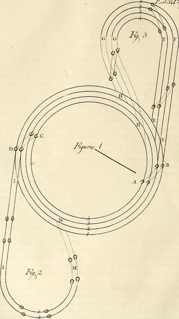 An illustration from Luz da liberal, e nobre arte da cavallaria : offerecida ao Senhor D. João, principe do Brazil, 1790, leaf 373