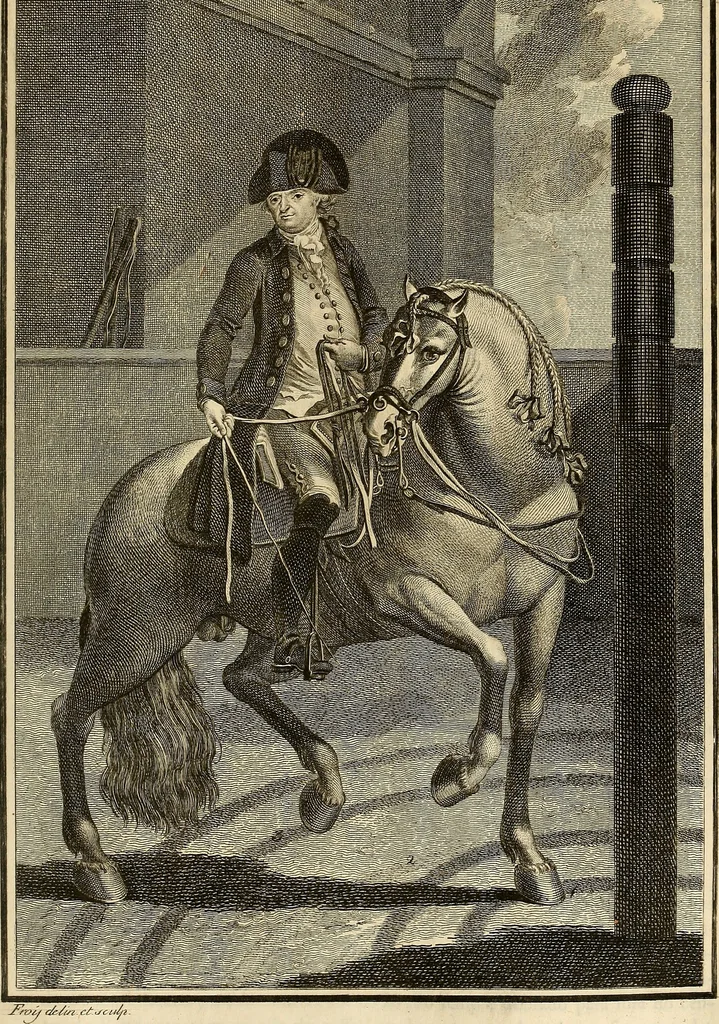 An illustration from Luz da liberal, e nobre arte da cavallaria : offerecida ao Senhor D. João, principe do Brazil, 1790, leaf 378