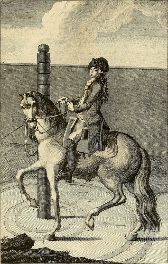 An illustration from Luz da liberal, e nobre arte da cavallaria : offerecida ao Senhor D. João, principe do Brazil, 1790, leaf 388