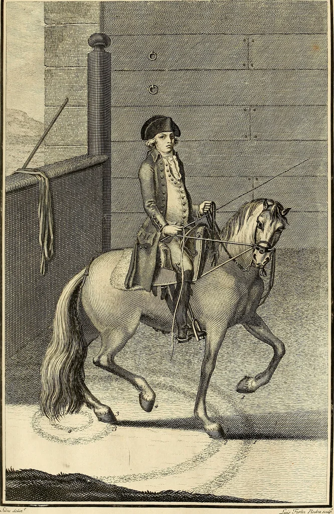 An illustration from Luz da liberal, e nobre arte da cavallaria : offerecida ao Senhor D. João, principe do Brazil, 1790, leaf 398