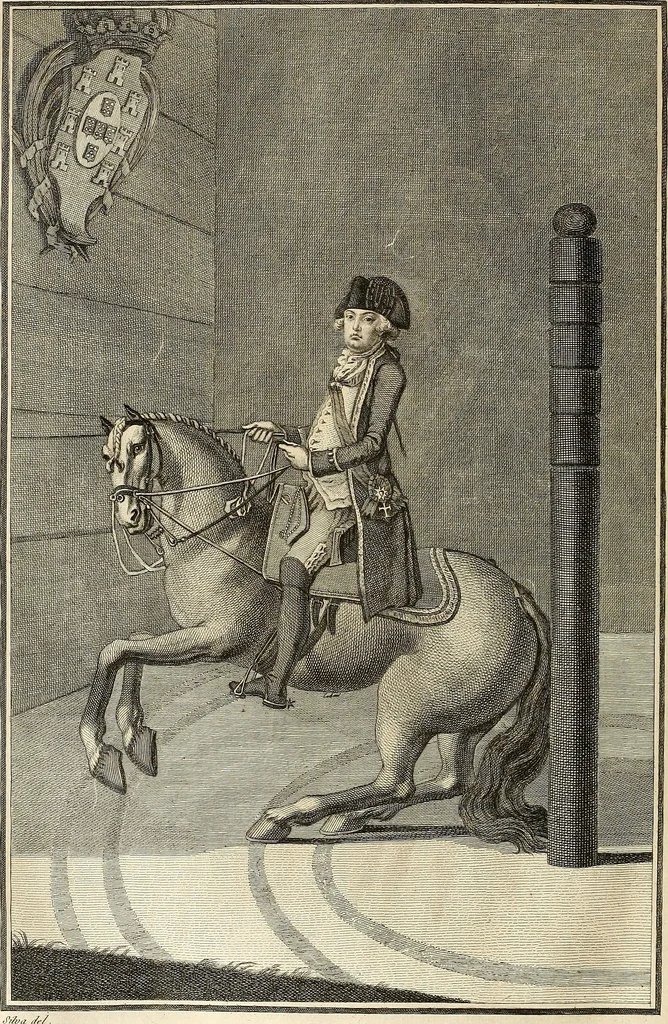 An illustration from Luz da liberal, e nobre arte da cavallaria : offerecida ao Senhor D. João, principe do Brazil, 1790, leaf 417