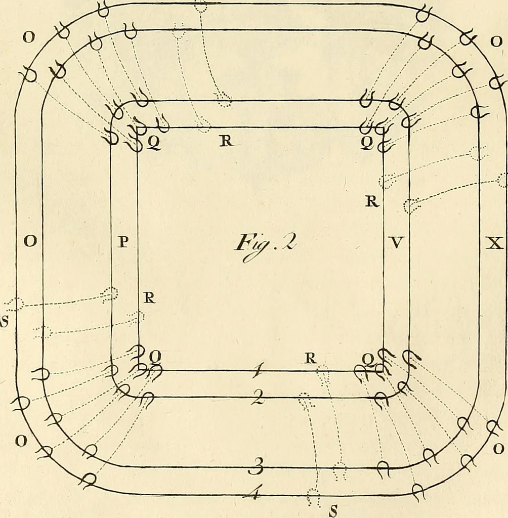 An illustration from Luz da liberal, e nobre arte da cavallaria : offerecida ao Senhor D. João, principe do Brazil, 1790, leaf 436