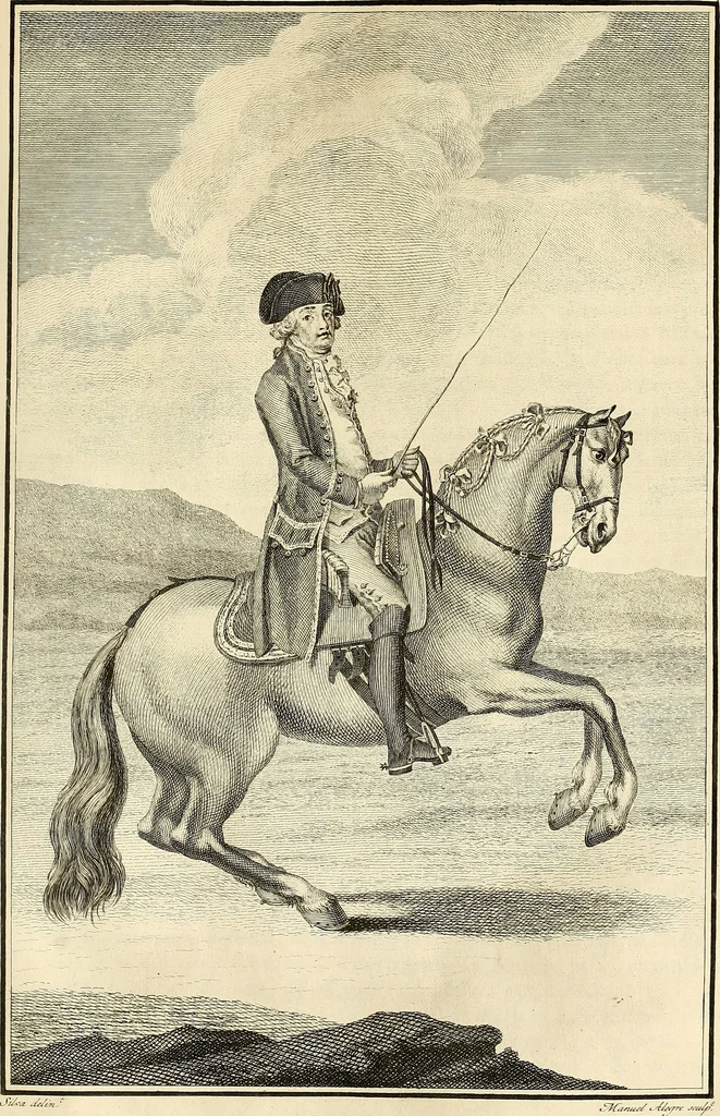 An illustration from Luz da liberal, e nobre arte da cavallaria : offerecida ao Senhor D. João, principe do Brazil, 1790, leaf 442