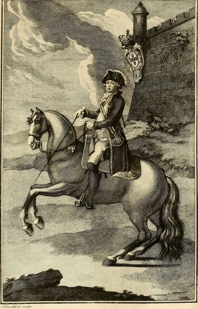 An illustration from Luz da liberal, e nobre arte da cavallaria : offerecida ao Senhor D. João, principe do Brazil, 1790, leaf 446