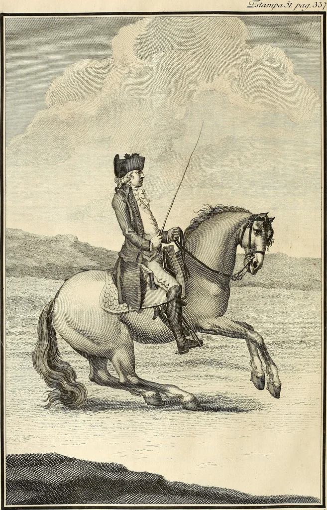 An illustration from Luz da liberal, e nobre arte da cavallaria : offerecida ao Senhor D. João, principe do Brazil, 1790, leaf 471