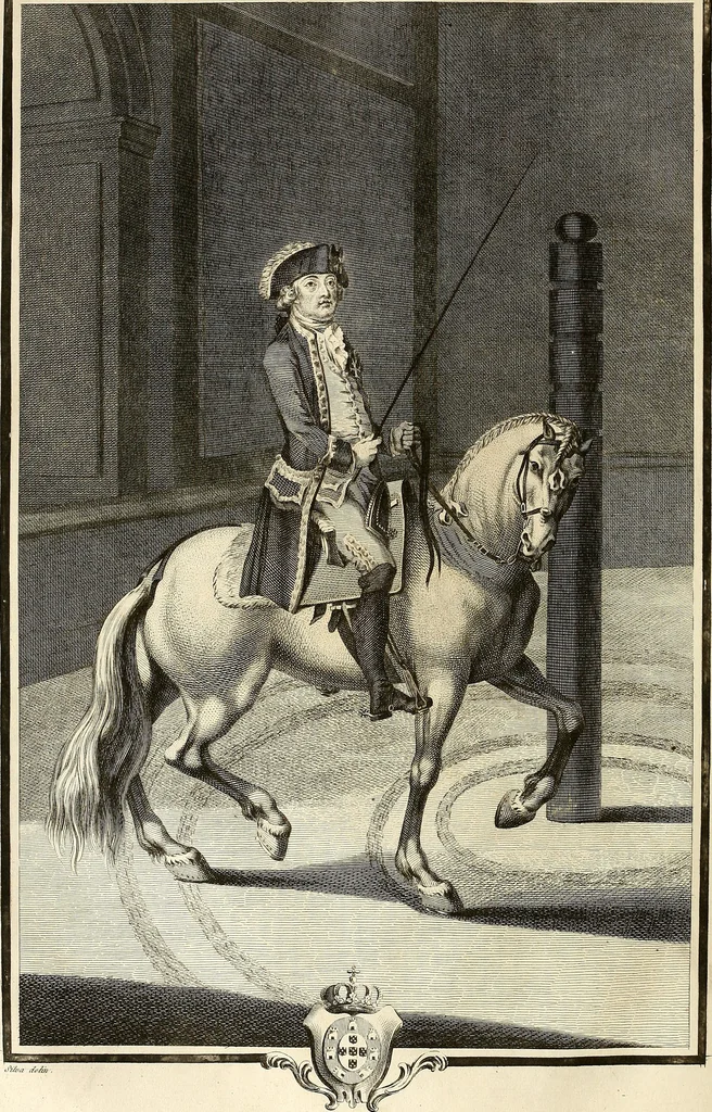 An illustration from Luz da liberal, e nobre arte da cavallaria : offerecida ao Senhor D. João, principe do Brazil, 1790, leaf 485