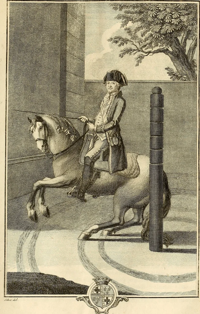 An illustration from Luz da liberal, e nobre arte da cavallaria : offerecida ao Senhor D. João, principe do Brazil, 1790, leaf 490